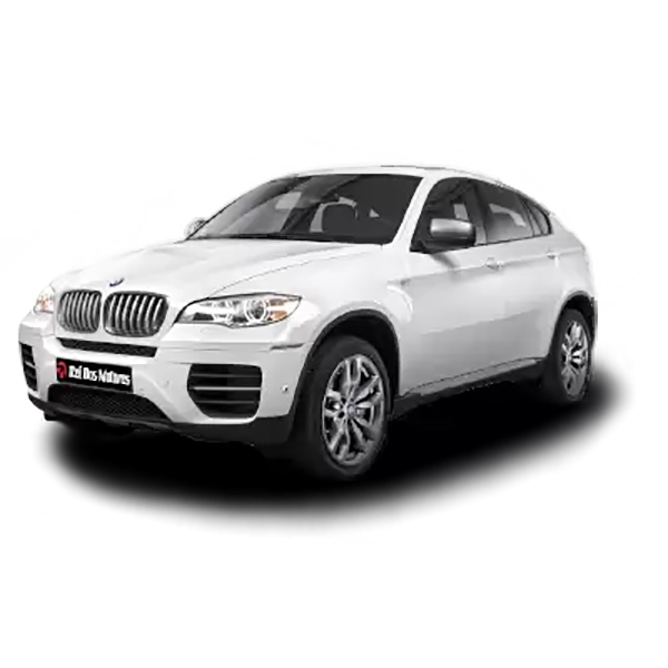 Motor BMW X6